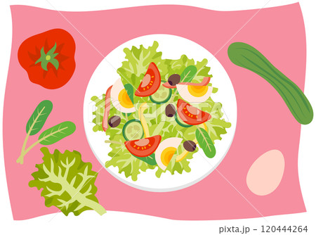 カラフルで健康的なサラダと材料 カラフルで健康的なサラダと材料 120444264