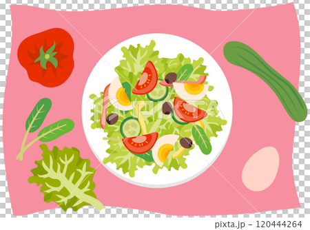 カラフルで健康的なサラダと材料 カラフルで健康的なサラダと材料 120444264