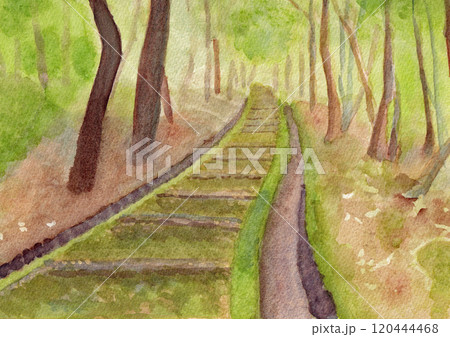 手描きの水彩画「苔むした参道」 120444468