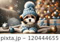 キラキラと輝くイルミネーションとシーズー犬 120444655