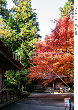 世界遺産中尊寺 秋色に染まる経蔵の朝 岩手県 世界遺産中尊寺 秋色に染まる経蔵の朝 岩手県 120444748