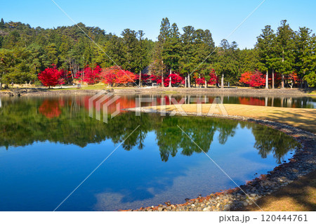 毛越寺 大泉が池 毛越寺 大泉が池 120444761