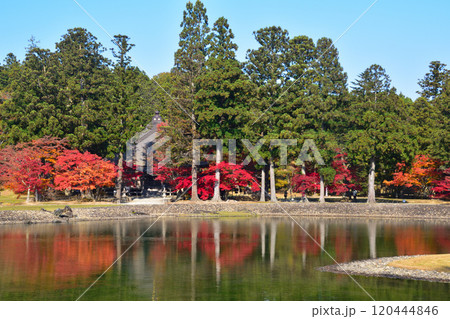 秋 毛越寺 大泉が池 秋 毛越寺 大泉が池 120444846