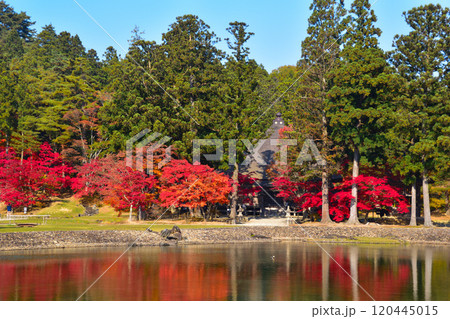 秋 毛越寺 大泉が池 常行堂 秋 毛越寺 大泉が池 常行堂 120445015