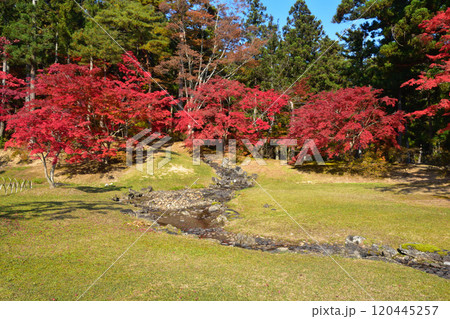 毛越寺　遣水 120445257