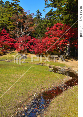 毛越寺　遣水 120445401