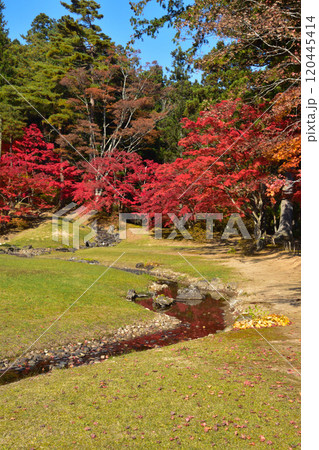 毛越寺　遣水 120445414