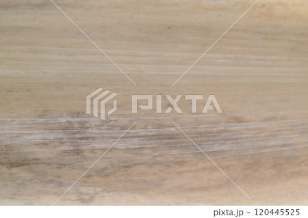 竹の種類・ホウライチク(蓬莱竹)の皮の背景素材 竹の種類・ホウライチク(蓬莱竹)の皮の背景素材 120445525