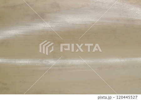 竹の種類・ホウライチク（蓬莱竹）の皮の背景素材 120445527