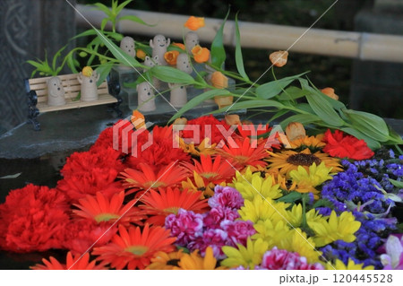 埴輪も踊る花手水 埴輪も踊る花手水 120445528