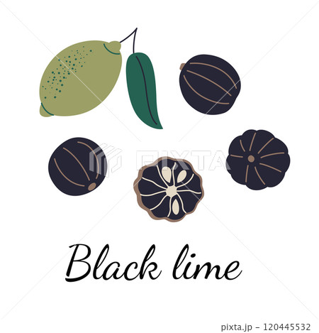 Vector illustration of dried black lime spice with whole and sliced lime, fresh fruit with a green leaf. Perfect for culinary and ingredient themes in flat cartoon style, Middle Eastern cuisine 120445532
