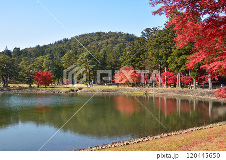 毛越寺 大泉が池 毛越寺 大泉が池 120445650