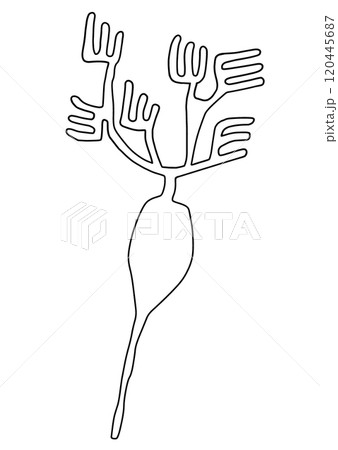 ナスカの地上絵 植物 ナスカの地上絵 植物 120445687