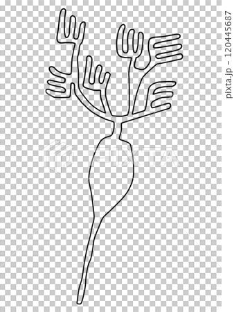 ナスカの地上絵 植物 ナスカの地上絵 植物 120445687