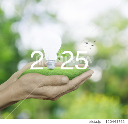 Happy new year 2025 green ecology and saving energy concept 120445761