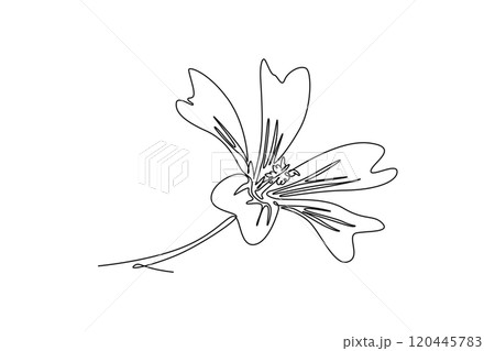 Continuous one line drawing beauty fresh purple mallow for garden logo. Printable decorative malva sylvestris flower for home decor wall art poster. Single line draw design vector graphic illustration Continuous one line drawing beauty fresh purple mallow for garden logo. Printable decorative malva sylvestris flower for home decor wall art poster. Single line draw design vector graphic illustration 120445783