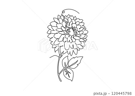 Single one line drawing beauty fresh dahlia for home wall decor poster art. Printable decorative national Mexico flower for wedding invitation card. Continuous line design graphic vector illustration Single one line drawing beauty fresh dahlia for home wall decor poster art. Printable decorative national Mexico flower for wedding invitation card. Continuous line design graphic vector illustration 120445798