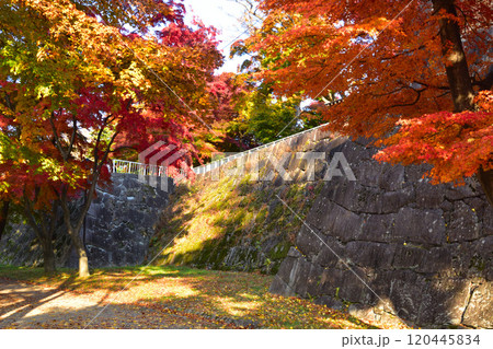 秋 盛岡城跡公園 秋 盛岡城跡公園 120445834