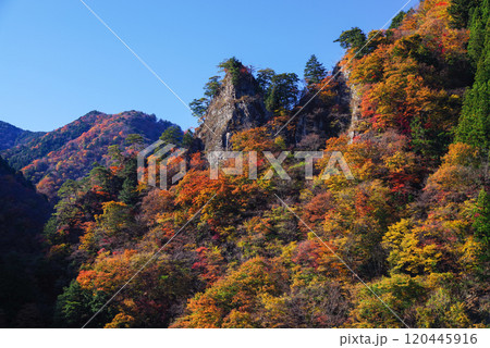 中津峡の紅葉 120445916