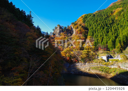 中津峡の紅葉 120445926
