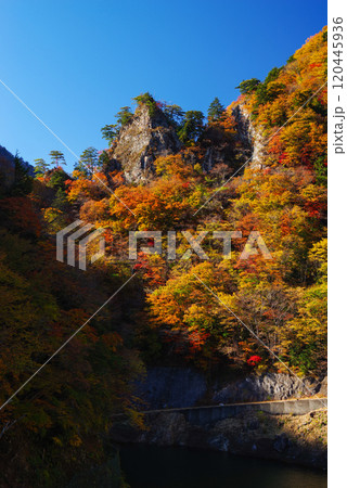 中津峡の紅葉 中津峡の紅葉 120445936