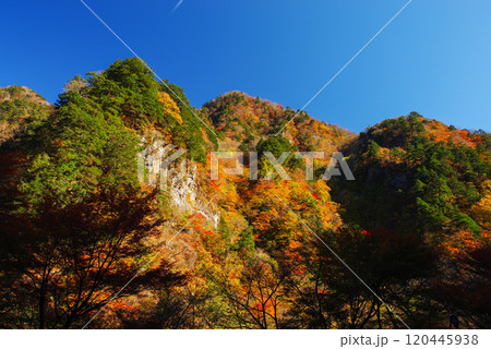中津峡の紅葉 120445938