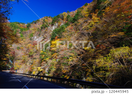 中津峡の紅葉 中津峡の紅葉 120445945