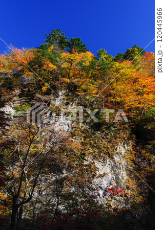 中津峡の紅葉 中津峡の紅葉 120445966
