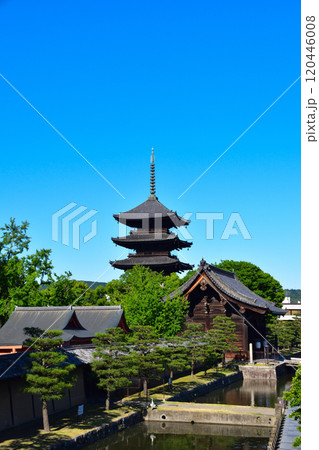 京都　東寺 120446008