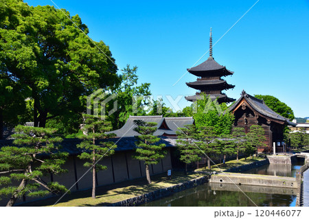 京都　東寺 120446077