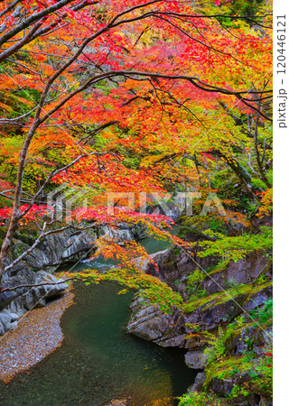 中津峡の紅葉 中津峡の紅葉 120446121
