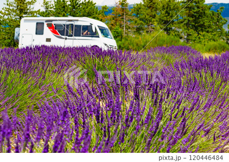 Caravan camping at lavender field, France Caravan camping at lavender field, France 120446484