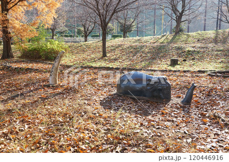 秋晴れの阿須運動公園 古代広場のアケボノゾウ(埼玉県飯能市) 秋晴れの阿須運動公園 古代広場のアケボノゾウ(埼玉県飯能市) 120446916