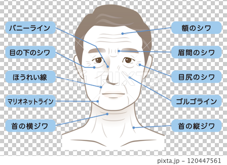 高齢男性の顔　シワ　名称　美容　老化 120447561