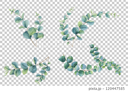 Watercolor Eucalyptus branches set. Big collection of hand painted botanical illustrations isolated on white. Abstract Transparent leaves bundle Watercolor Eucalyptus branches set. Big collection of hand painted botanical illustrations isolated on white. Abstract Transparent leaves bundle 120447585