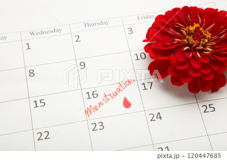 Menstruation calendar with red flower. Woman critical days, woman hygiene protection. Menstrual pain 120447685