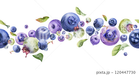 Blueberry blackberry, group of flying ripe forest berry with drops and green leaves hand drawn in watercolor. Seamless banner garland illustration, for restaurant, cafe menu, wedding, farmers market 120447730