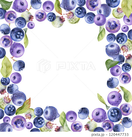 Blueberry blackberry, hand drawn in watercolor, group of scattered ripe forest berry with drops and green leaves. Border frame isolated illustration, for restaurant, cafe menu, wedding, farmers market 120447733
