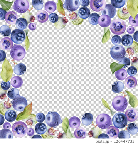 Blueberry blackberry, hand drawn in watercolor, group of scattered ripe forest berry with drops and green leaves. Border frame isolated illustration, for restaurant, cafe menu, wedding, farmers market 120447733