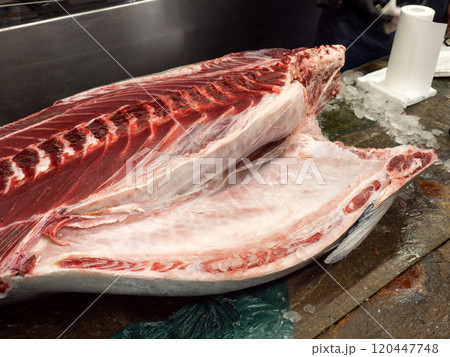 生マグロの解体 120447748