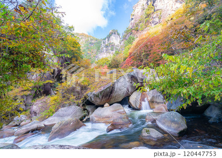 【紅葉素材】昇仙峡のシンボル覚円峰の紅葉【山梨県】 120447753