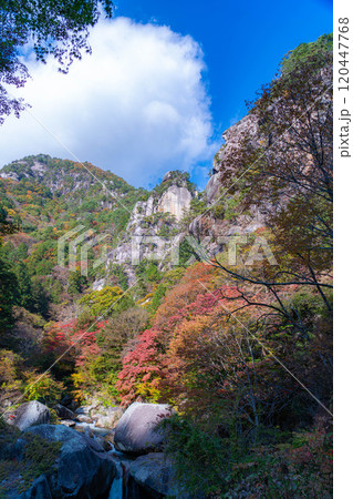 【紅葉素材】昇仙峡のシンボル覚円峰の紅葉【山梨県】 120447768