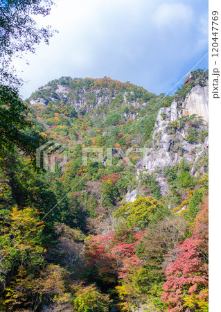 【紅葉素材】昇仙峡のシンボル覚円峰の紅葉【山梨県】 【紅葉素材】昇仙峡のシンボル覚円峰の紅葉【山梨県】 120447769