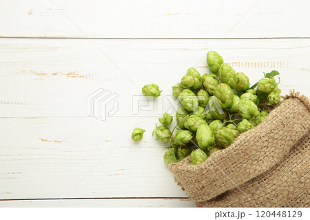 Hop in a burlap bag on a white background. 120448129