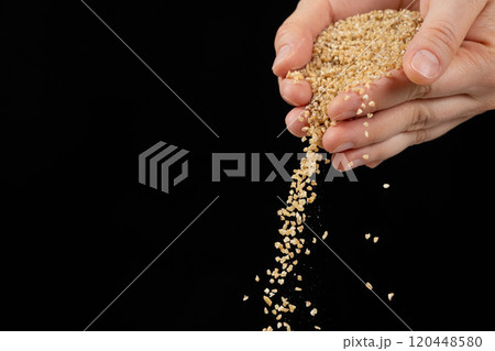 Hands pour raw uncooked wheat groats on black background copy space for text Hands pour raw uncooked wheat groats on black background copy space for text 120448580