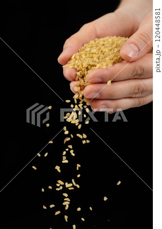 Hands pouring raw uncooked bulgur cereals cracked wheat on a black background. 120448581