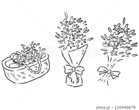 いろいろな花束の線画 120448679