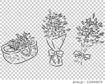 各種花束的線條圖 120448679