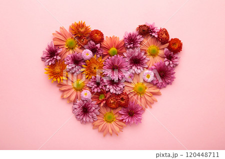 Heart with flowers on pink background. Top view 120448711