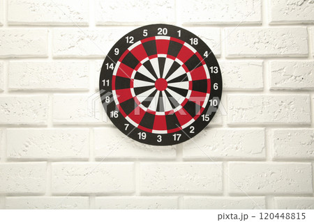 Dart Board on the white wall background. Dart Board on the white wall background. 120448815